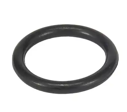 Кольцо уплотнительное форсунки КАМАЗ BOSCH F00RJ01605 LN 402481