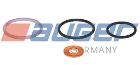 Ремкомплект форсунки DAF 0273077 AUGER 79314