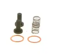 Ремкомплект ТНВД BOSCH 2447010011